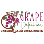 the grape detective logo